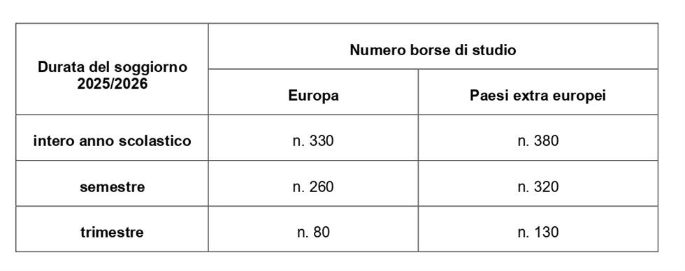 borse di studio